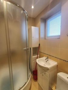 uma casa de banho com um chuveiro e um lavatório. em Centrum Apartament Legionów 48m2 em Konin