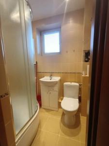 uma casa de banho com um WC e um lavatório em Centrum Apartament Legionów 48m2 em Konin