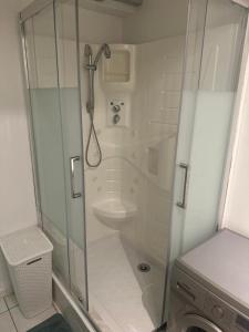 a bathroom with a shower and a sink and a toilet at F2 cocooning centre ville 4 personne in Beaumont-sur-Oise