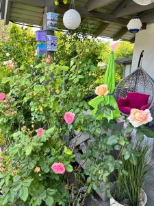 Zahrada ubytování Apartament Różany