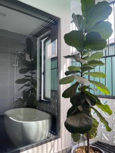 a bathroom with a large plant in front of a mirror at Alala Homestay- Trung tâm thành phố Tuyên Quang- Tuyên Quang City Center in Tuyên Quang