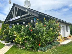 Zahrada ubytování Apartament Różany