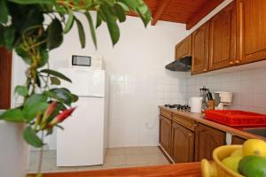 Kuchyň nebo kuchyňský kout v ubytování Apartments Tena