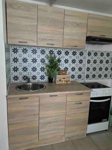 a kitchen with a sink and a stove at Grand T2 45m2 avec Parking & Balcon proche Paris in Montmagny +4 photos