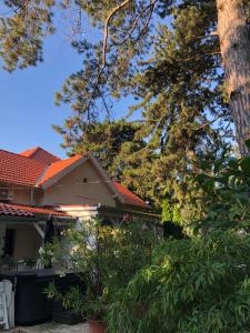 una casa con techo rojo y algunos árboles en Szem-s Vendégház, en Balatonszemes