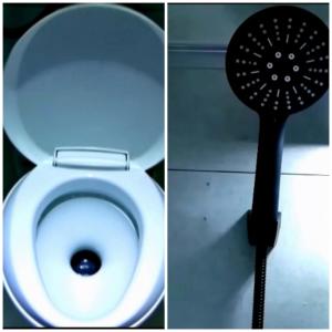 two pictures of a toilet with a scrub brush at Le confort en nature avec VANTASTIP in Villeneuve-sous-Dammartin
