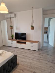 een woonkamer met een flatscreen-tv en een bank bij Luxury Grey Apartments in Iaşi