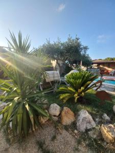 une cour avec des plantes et une piscine dans l'établissement Cocon Provençal - T1 25m2 - SdB - Terrasse privée & Accès Piscine à Saint Chamas, à Saint-Chamas