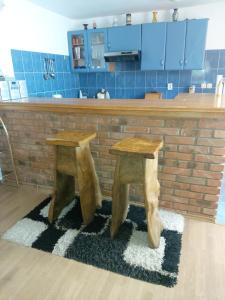 Kuchyňa alebo kuchynka v ubytovaní Studio apartman KOTRO