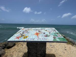 Billede fra billedgalleriet på Appartement T2 climatisé La pépite i Saint-François