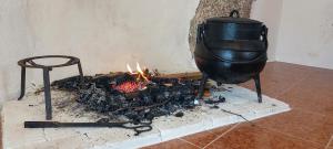 een pot en een vuur in een kamer bij A Casa da Rapariga de Cabelo Azul in Manteigas