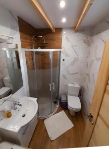 にあるSłodki Zakątek Spa Jacuzzi&Saunaのバスルーム(シャワー、洗面台、トイレ付)