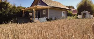 a house in the middle of a field of tall grass at Słodki Zakątek Spa Jacuzzi&Sauna in Sobolów +2 photos