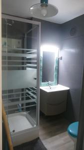 a bathroom with a shower and a sink and a mirror at Tilagonbleu à la Saline les Bains in La Saline Les hauts 