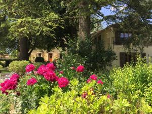 ogród z różowymi kwiatami przed domem w obiekcie Gites du Caylar - Chambres et Appartments w mieście Le Caylar