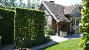 Zahrada ubytování B&B Hemel & Haard