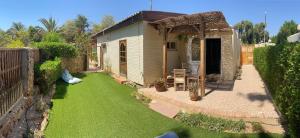 un cortile con una piccola casa con un cortile verde di Octopus Apartment - Lagoon Villa a Dahab