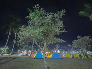 um grupo de tendas num parque à noite em Beach Camp Lombok em Sekotong