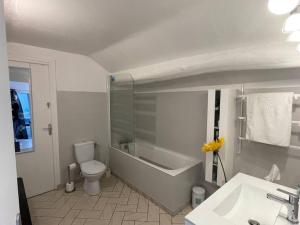 a bathroom with a tub and a toilet and a sink at Maison de ville cosy et chaleureuse 