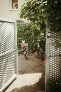 Jízda na kole v ubytování Stadthotel Kleiner Berg nebo okolí