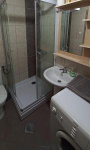 a bathroom with a shower and a sink and a toilet at Dea Apartment in Ohrid