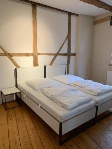 ミュンスターにあるLemperDenkmal Münsterのウッドフロアの客室で、大型ベッド1台を利用できます。