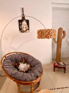 un chien dans un lit de chien dans une pièce avec un cactus dans l'établissement ART'APPART, à Narbonne