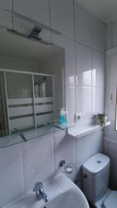 y baño con aseo, lavabo y espejo. en 635A Acogedor apartamento en Oviedo, en Oviedo
