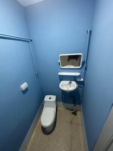 ロン島にあるGreen Ocean Lodgeの青いバスルーム(トイレ、シンク付)