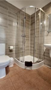 uma casa de banho com um chuveiro, um WC e um lavatório. em Rezydencja Ostoja em Stronie Śląskie