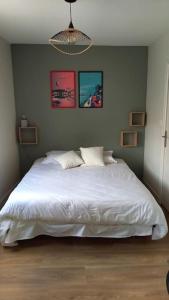 a bedroom with a white bed in a room at Les marronniers appartement centre Saumur bord de Loire in Saumur