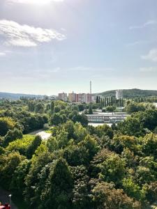 widok na miasto z góry drzew w obiekcie BIG 3 separate rooms convenient City HAVEN ! w Bratysławie