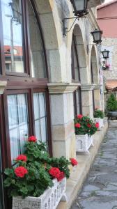 a group of flowers in pots on the side of a building at Hotel Las Ruedas in Laredo