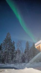 una aurora en el cielo sobre los árboles y la nieve en Hallahaukka, en Ivalo