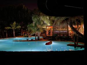 a large swimming pool at night with palm trees at Duas Quintas Areal in Guimarães