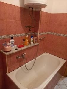 a bath tub in a bathroom with a shower at Apartment 