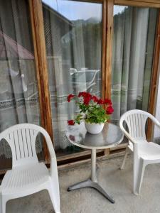 two chairs and a table with a vase with flowers on it at Apartment 