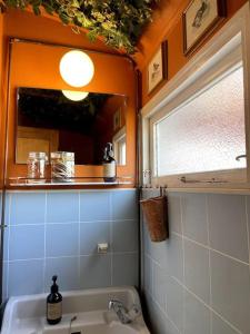 a bathroom with a sink and a mirror at Fjordhytten. Rebuild train wagon from 1937. in Odense