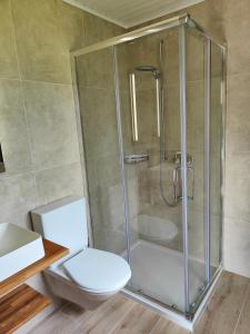 ein Bad mit einer Dusche und einem WC in der Unterkunft la ferme de la gaby in Le Noirmont