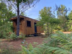 a wooden cabin with a picnic table in the woods at Camping la Kahute - Tiny House au coeur de la fôret in Carcans +26 photos