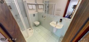 a bathroom with a shower and a toilet and a sink at Hotel Selsky Dvur in Vyškov