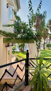 einen Balkon eines Hauses mit einer Pflanze in der Unterkunft Villa B&D Lou in Fethiye