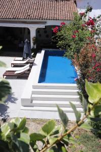 Casa Pereirinha \ Pateo House في فيديغويرا: مسبح في ساحة فيها ورد
