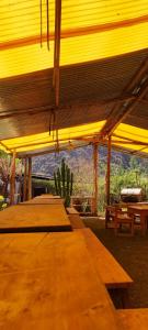 una tienda amarilla con mesas y un cactus debajo en Casa Nido de Oro, en Oropesa