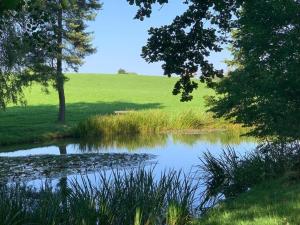 a pond with trees and a green field in the background at Ferienwohnung "Zirbenduft" im Landhotel Seeg in Seeg +8 photos