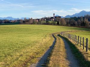 a dirt road in a field with a fence at Ferienwohnung "Zirbenduft" im Landhotel Seeg in Seeg