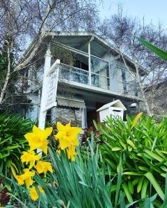 a house with yellow flowers in front of it at Anglesea Rivergums in Anglesea +15 photos