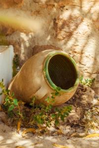 Fotografie z fotogalerie ubytování Finca el Vizconde - Naturaleza con tus hijos v destinaci Arquillos