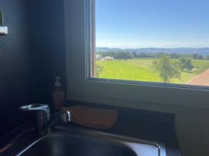 a kitchen sink and a window with a view of a green field at Haus Jehle in Görwihl +48 photos