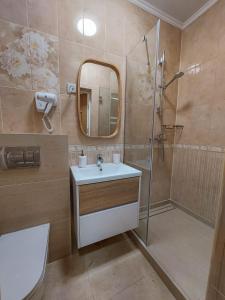 a bathroom with a sink and a shower with a mirror at Graff Hotel in Dnipro